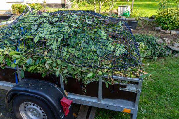 Best Yard Waste Removal  in Clermont, IN